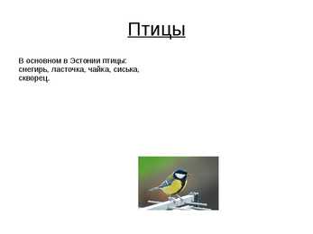 Eesti kohta PowerPoint-Vene keeles #11