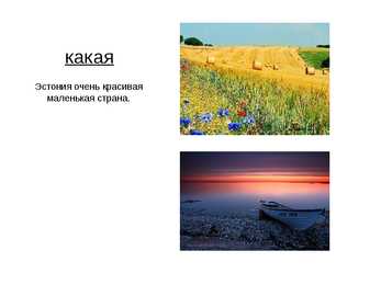 Eesti kohta PowerPoint-Vene keeles #3