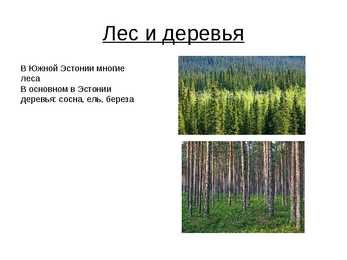 Eesti kohta PowerPoint-Vene keeles #6