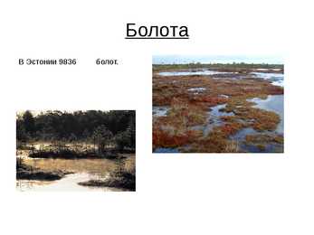 Eesti kohta PowerPoint-Vene keeles #8