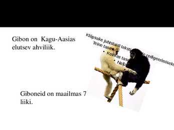 PowerPoint esitlus gibonite kohta #2