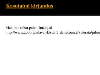 PowerPoint esitlus gibonite kohta #15