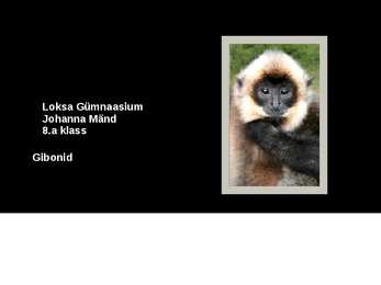 PowerPoint esitlus gibonite kohta