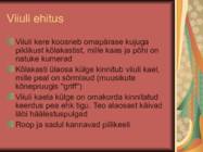 Presentatsioon viiulist #2