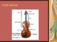 Presentatsioon viiulist #3