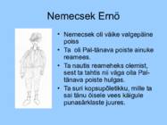 PAL-TÄNAVA POISID #5