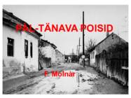 PAL-TÄNAVA POISID