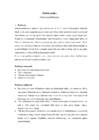 Situatsiooniülesanne-õmblusateljee