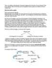 Sri Ishopanisad Invocation summary notes MRdd #2
