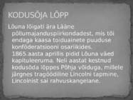 AMEERIKA ÜHENDRIIKIDE KODUSÕDA #7