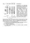 AINETE SEGU LAHUTAMINE GEELKROMATOGRAAFIA MEETODIL #4