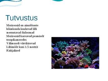Meriroosid #2