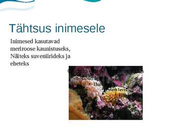 Meriroosid #7