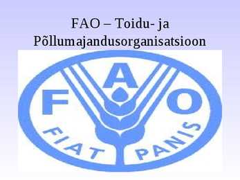 NATO ja rahvusvahelised organisatsioonid #49