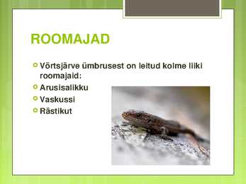 VÕRTSJÄRVE LOOMASTIK #12