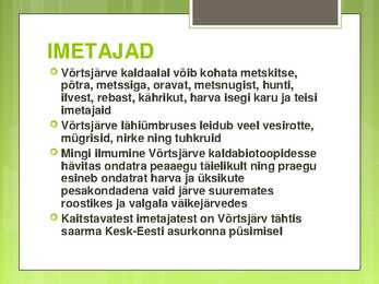 VÕRTSJÄRVE LOOMASTIK #13