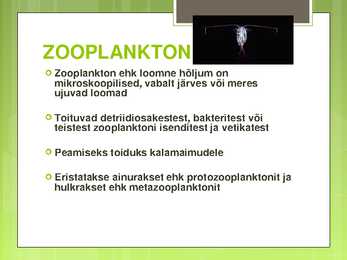 VÕRTSJÄRVE LOOMASTIK #3