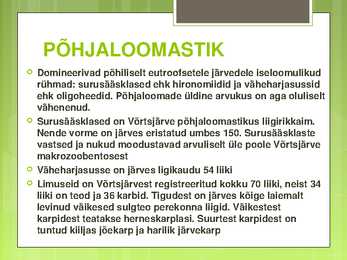VÕRTSJÄRVE LOOMASTIK #6