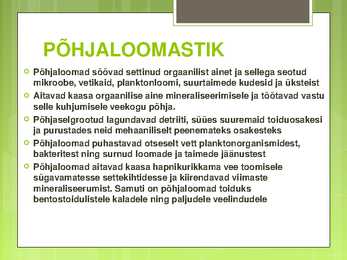 VÕRTSJÄRVE LOOMASTIK #7