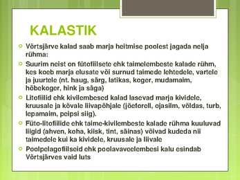 VÕRTSJÄRVE LOOMASTIK #9