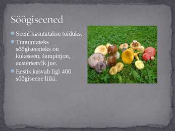 Seened looduses ja inimese elus #6