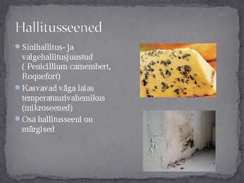 Seened looduses ja inimese elus #7