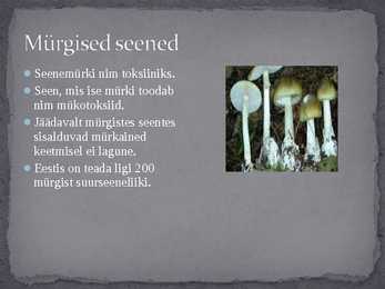 Seened looduses ja inimese elus #10