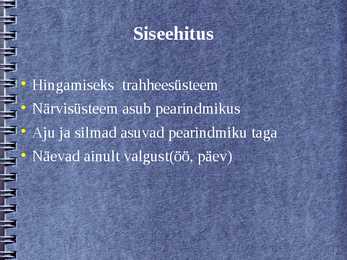 Võsapuuk #5