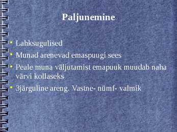 Võsapuuk #6