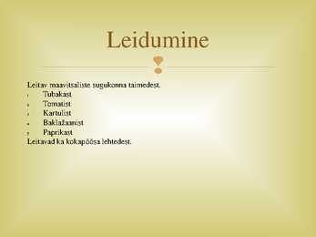 Alkaloidid-Nikotiin #3