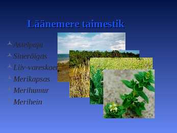 LÄÄNEMERI #2