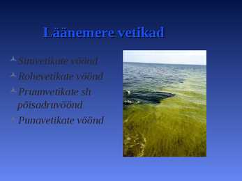 LÄÄNEMERI #3