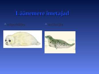 LÄÄNEMERI #6