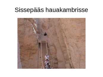 Tutanhamon #5