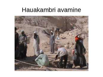 Tutanhamon #6