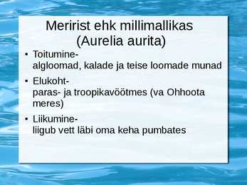 Selgrootud #5