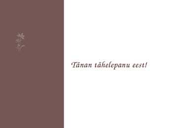 LAPSE SAAMISE AJASTAMINE JA LASTE ARV #8