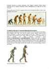 Inimese evolutsioon #5