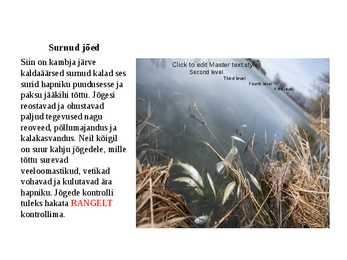 Loodus #11