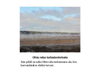 Loodus #15