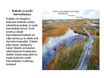 Loodus #16