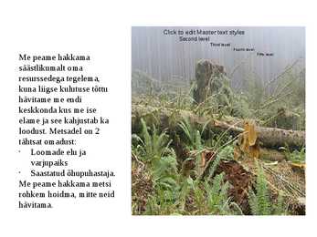 Loodus #23