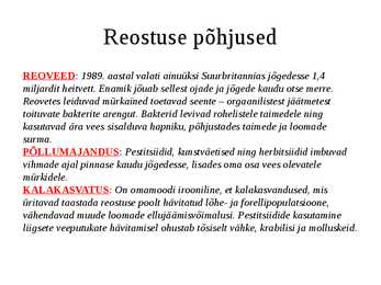 Loodus #7