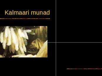 Limused #21