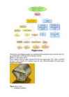Keemia-lahused-metallid-gaasid #6