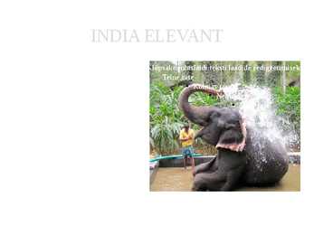 VANA-INDIA #20