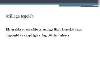 Vadja #5