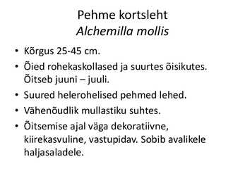 PÜSILILLED #109