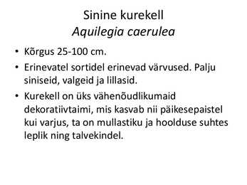 PÜSILILLED #129
