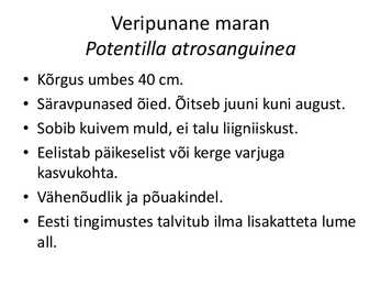 PÜSILILLED #149